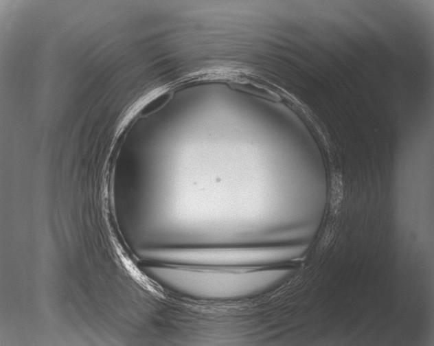 X0000085001042200704021328