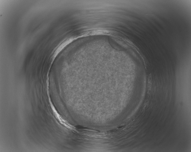 X0000085001047200704021328