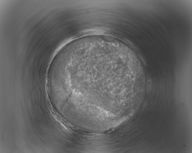 X0000085001051200704021328