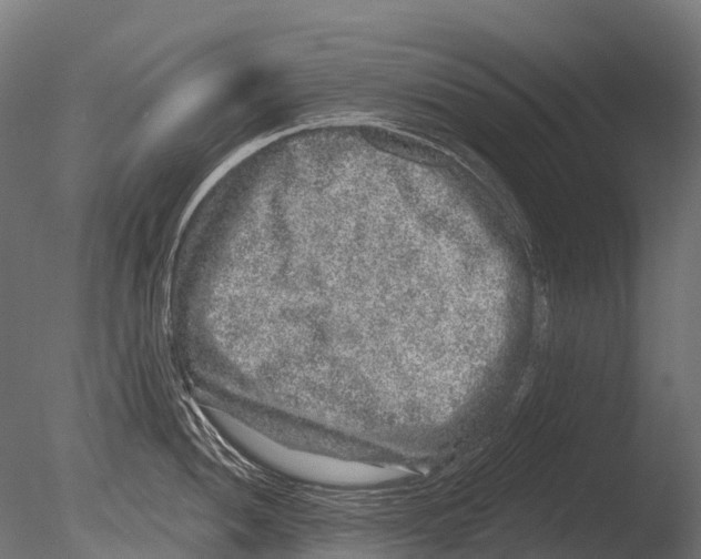 X0000085001052200704021328