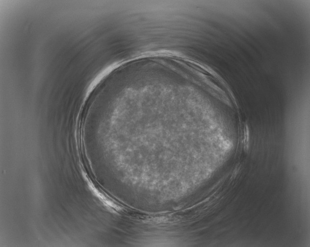 X0000085001054200704021328