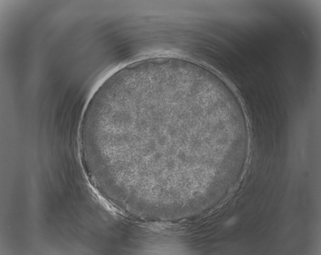 X0000085001056200704021328