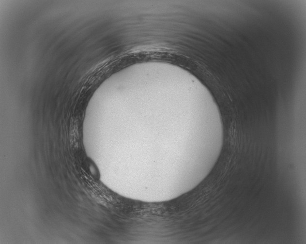 X0000085001062200704021328