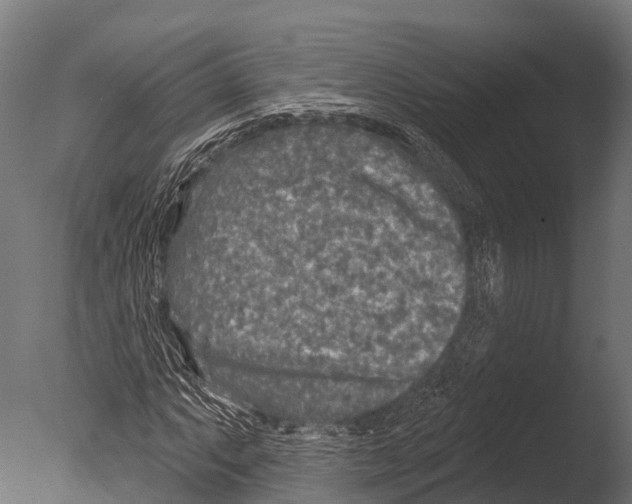 X0000085001063200704021328