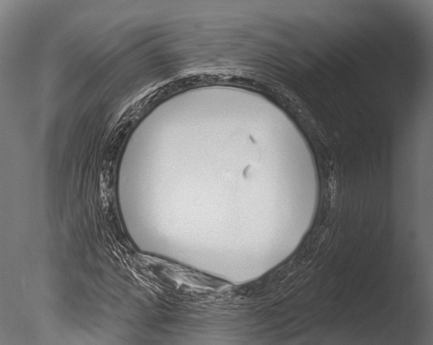 X0000085001064200704021328