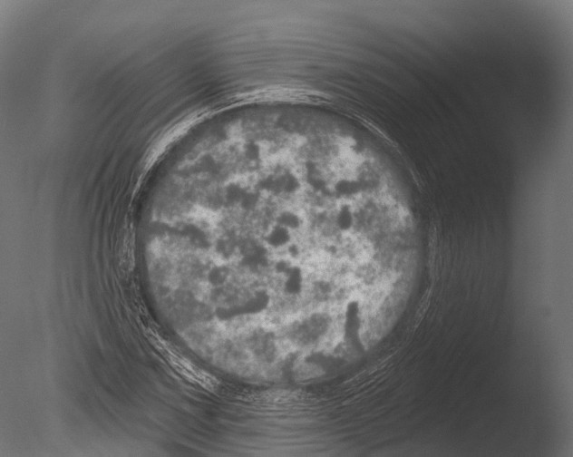 X0000085001067200704021327