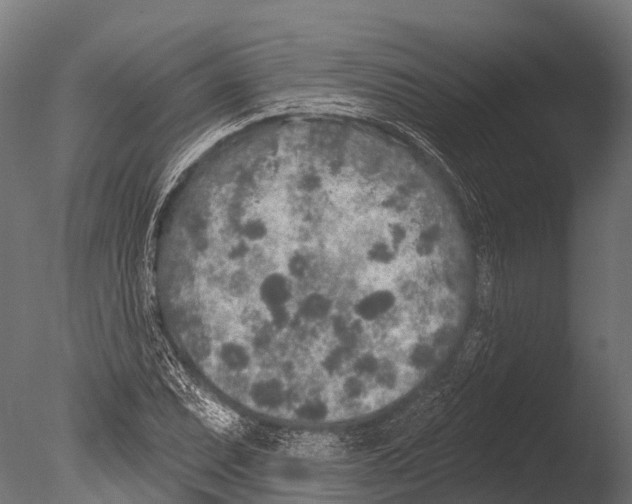 X0000085001071200704021327