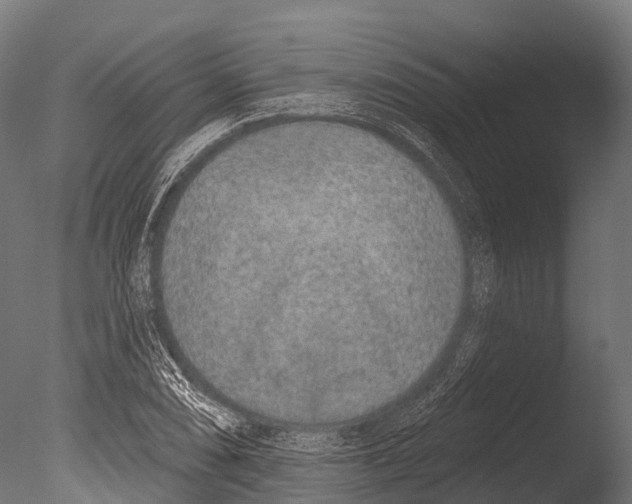 X0000085001074200704021327