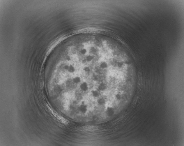 X0000085001075200704021327