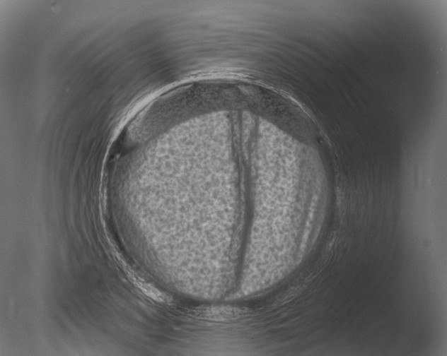 X0000085001077200704021327