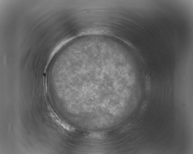 X0000085001078200704021327