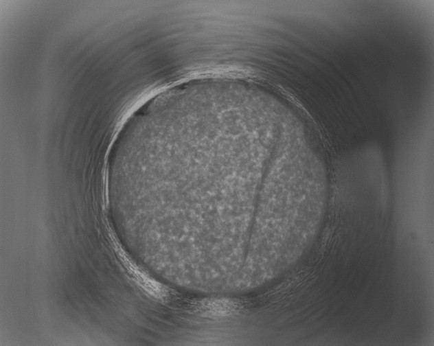 X0000085001079200704021327