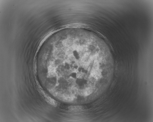 X0000085001083200704021327