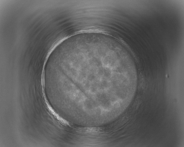 X0000085001084200704021327