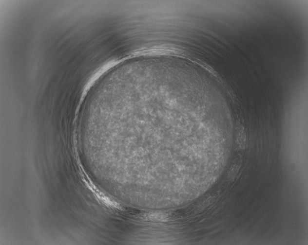 X0000085001086200704021327