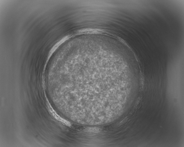 X0000085001090200704021327