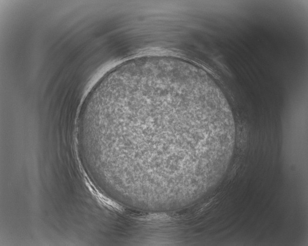 X0000085001094200704021327