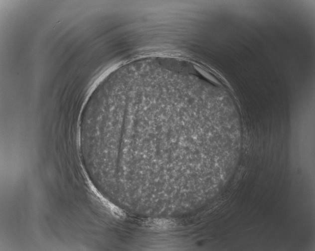 X0000085001095200704021327