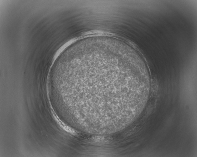 X0000085001098200704021327