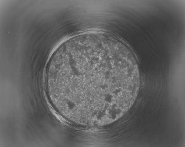 X0000085001099200704021327