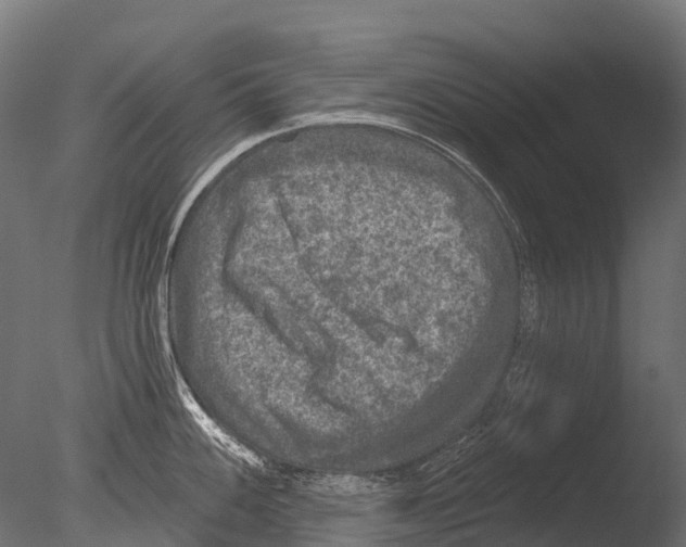 X0000085001100200704021327