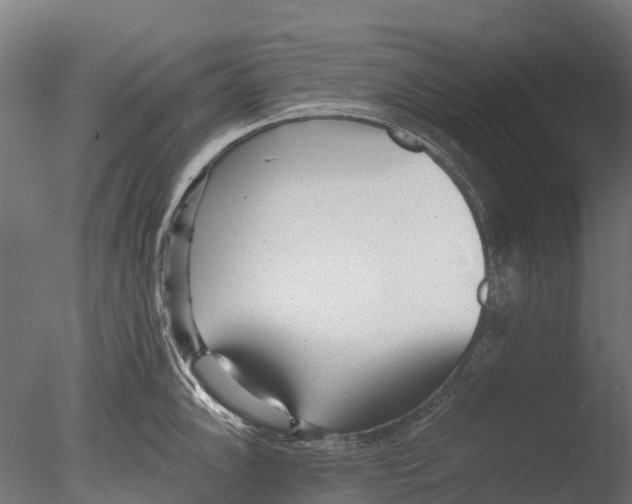 X0000085001102200704021327