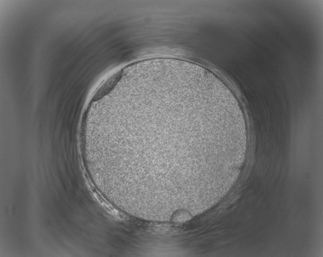 X0000085001104200704021327