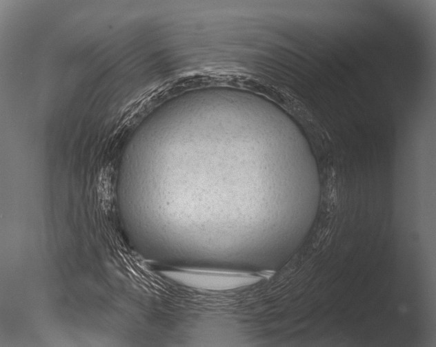 X0000085001110200704021326