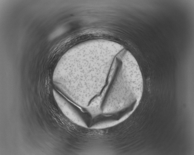 X0000085001111200704021326