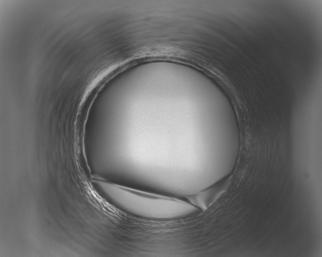 X0000085001120200704021326