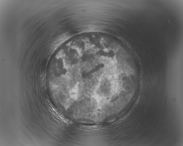 X0000085001121200704021326