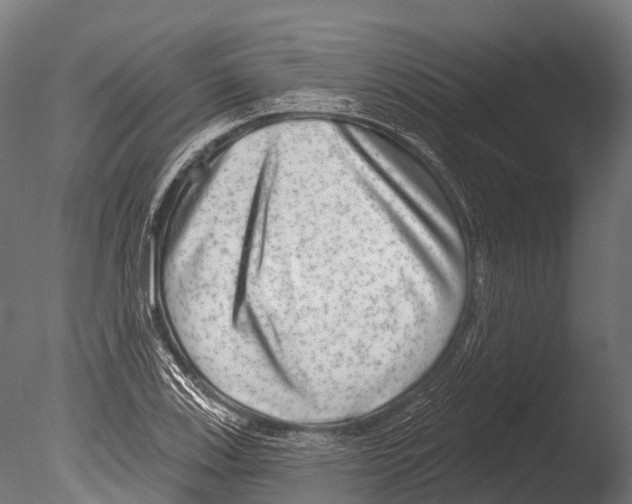 X0000085001123200704021326