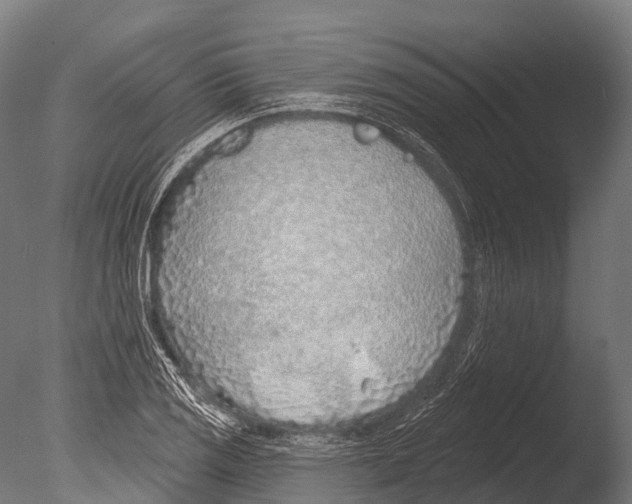 X0000085001125200704021326