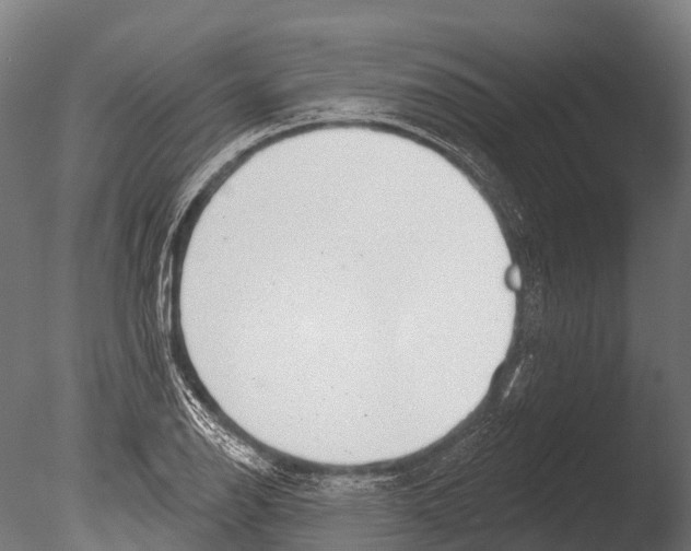 X0000085001126200704021326