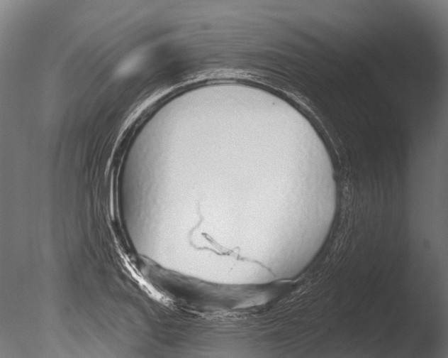 X0000085001127200704021326