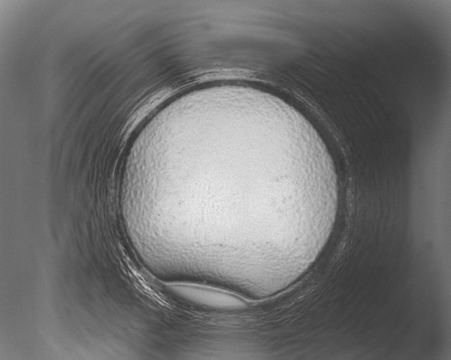 X0000085001129200704021326