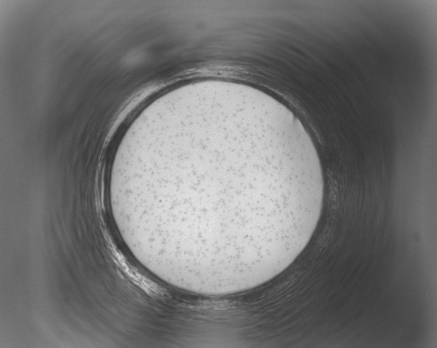 X0000085001131200704021326