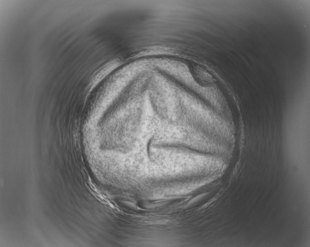 X0000085001137200704021327