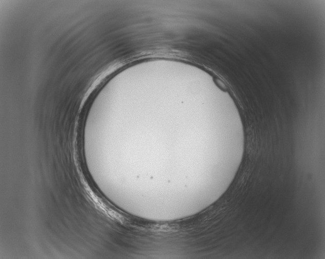 X0000085001139200704021327