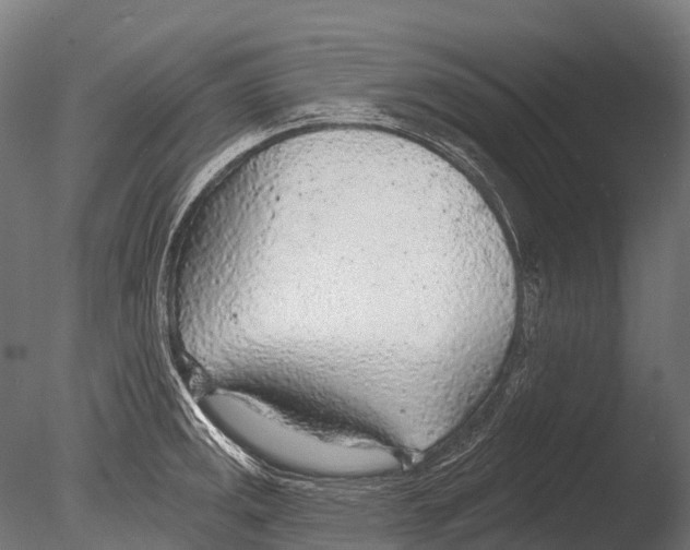 X0000085001141200704021327