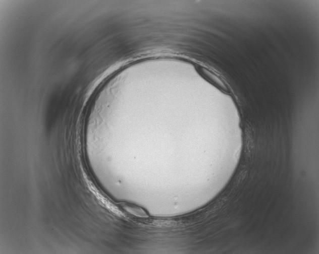 X0000085001142200704021327