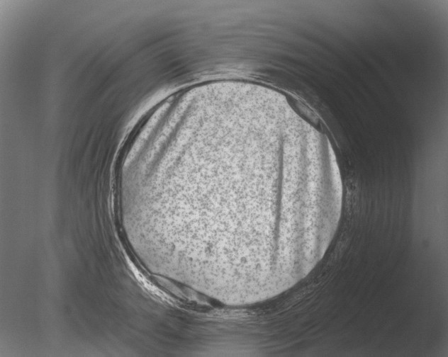 X0000085001143200704021327