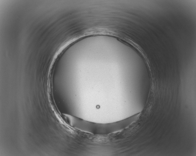 X0000085001144200704021327