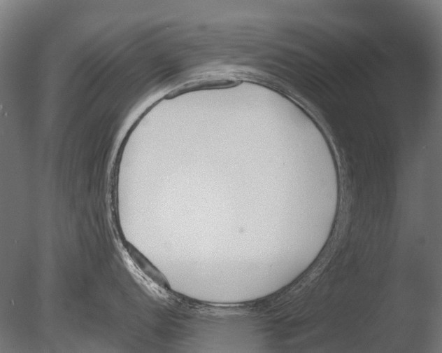 X0000085001152200704021327