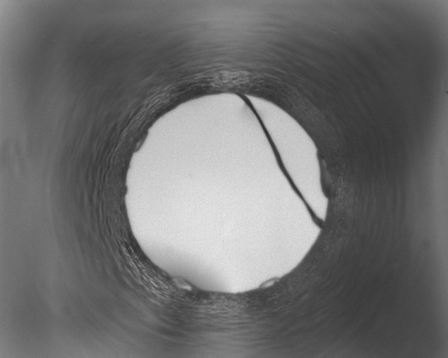 X0000085001153200704021326