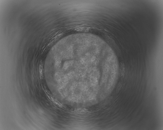 X0000085001154200704021326