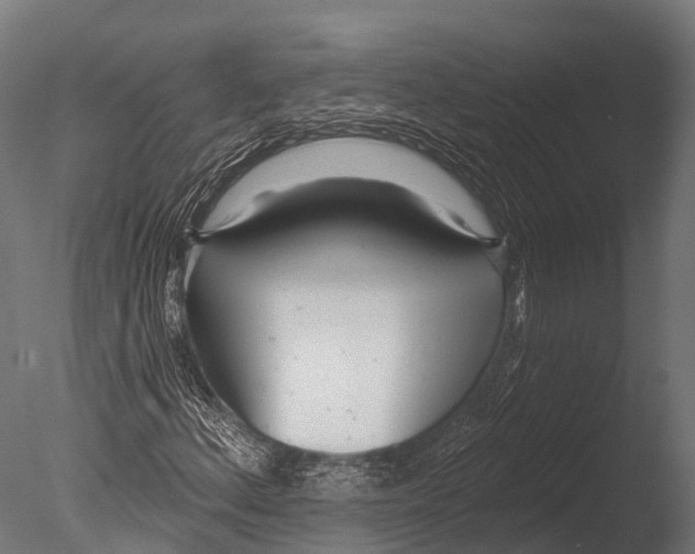 X0000085001156200704021326