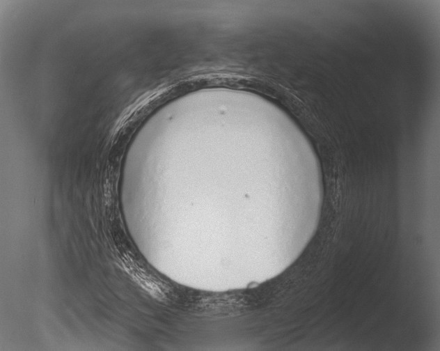 X0000085001159200704021326