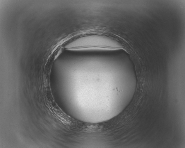 X0000085001160200704021326