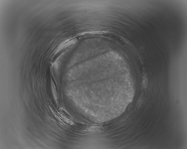 X0000085001161200704021326